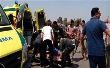 إصابة 5 أشخاص في حادث على طريق أسيوط - سوهاج 
