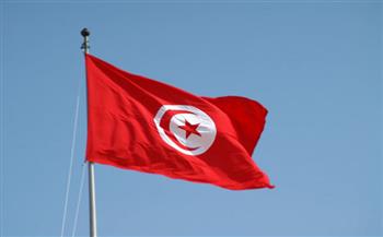 تونس تدعو المجتمع الدولي إلى التحرك لوقف جرائم الاحتلال بحق الشعب الفلسطيني