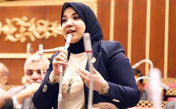 النائبة دينا هلالي تطالب ببرنامج موحد بالجامعات لتأهيل الشباب