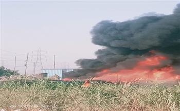 السيطرة على حريق بـ«روث مواشي» بقطعة أرض زراعية بالمنيا