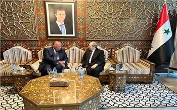 وزير الخارجية: مصر مستعدة لتقديم المزيد لتخفيف معاناة الشعب السوري