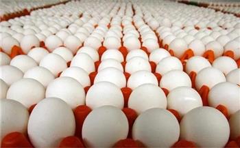 محافظ القليوبية: حريصون على دعم القطاع الداجني وتوفير البيض بأسعار مخفضة
