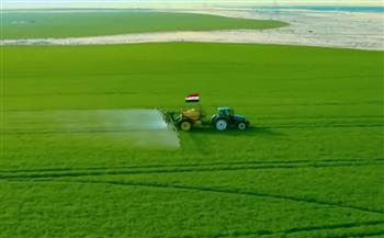 «الزراعة في أسبوع»: تحصينات للماشية والإفراج عن 135 ألف طن أعلاف