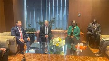 وزير الكهرباء يجتمع مع وزيرة الطاقة السنغالية لبجث أوجه التعاون المستقبلي 