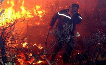 مقتل 13 شخصًا على الأقل في أكثر من 200 حريق غابات في تشيلي