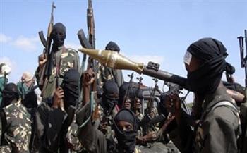 مقتل أربعة عناصر من ميليشيا حركة الشباب الإرهابية في الصومال