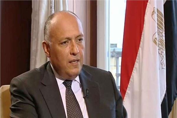 وزير الخارجية يشيد بدور القطاع الخاص المصري فى دفع عجلة التعاون الاقتصادى بين مصر وأفريقيا