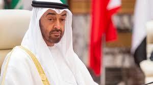 الرئيس الإماراتي يؤكد أهمية دور السفراء في تأسيس شراكات استراتيجية مع دول العالم