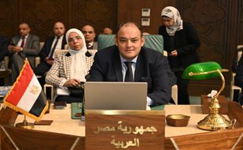 وزير التجارة يترأس وفد مصر في أعمال المجلس الاقتصادي والاجتماعي للجامعة العربية