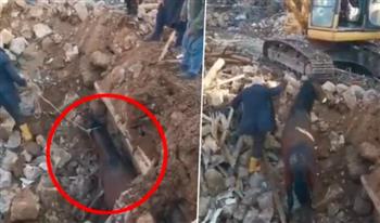 بعد 21 يوما.. استخراج حصان على قيد الحياة من تحت أنقاض زلزال تركيا (فيديو)