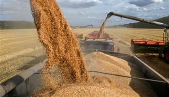 الزراعة الروسية: نستهدف تصدير حوالي 60 مليون طن من الحبوب