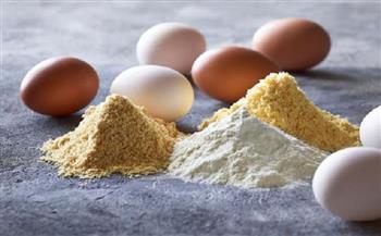 آخر أخبار مصر اليوم الجمعة 10-3-2023.. حقيقة طرح منتجات بديلة للبيض الطبيعي تحت مسمى «البيض البودرة»