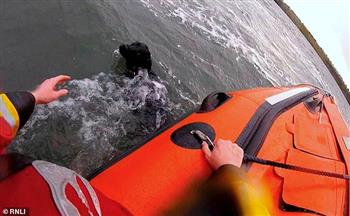 لحظة إنقاذ كلب من الموت غرقا «فيديو»