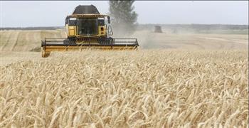 الأمم المتحدة تؤكد خططها لإجراء مشاورات مع روسيا بشأن صفقة الحبوب في 13 مارس