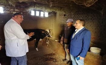 تحصين 130 ألف رأس ماشية ضد الأمراض الوبائية في كفر الشيخ
