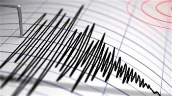 زلزال بقوة 4.6 درجات يضرب سواحل تركيا