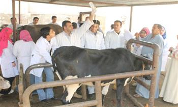 "بيطري الغربية": تحصين 70 ألفًا من الماشية ضد الأمراض الوبائية