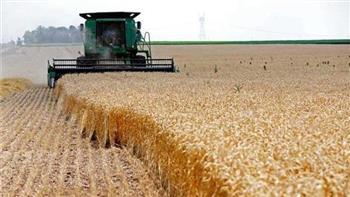 المنظمة الإسلامية للأمن الغذائي تختار موريتانيا لتوطين وتطوير زراعة القمح