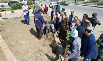 ضمن مبادرة «100 مليون شجرة».. زراعة 40 ألف شجرة بمدن وقرى كفر الشيخ