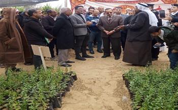 الزراعة: توزيع 10 آلاف شتلة لوز على مزارعي شمال سيناء