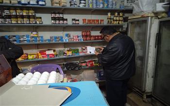 «مراقبة الأغذية» تكثف حملاتها بالمرور على 213 منشأة بالدقهلية