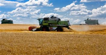 «الغذاء الأوكرانية»: زرعنا 293 ألف هكتار بالحبوب والمحاصيل البقولية ومحاصيل الربيع‎‎