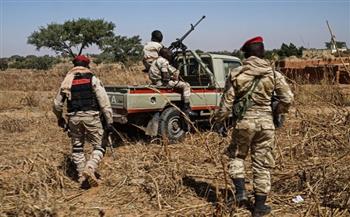 مقتل 79 مسلحا على حدود النيجر مع جارته مالي