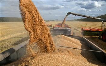 روسيا تعرب عن نيتها عدم وقف صادراتها من القمح