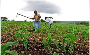كينيا توقع على مذكرة تفاهم مع بريطانيا لتنفيذ برنامج زيادة إنتاجها الزراعي  