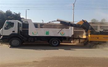 حملات نظافة وصيانة كشافات الإنارة بعدد من قرى محافظة أسيوط