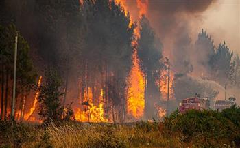 إسبانيا: السيطرة على حريق غابات كبير في مقاطعة كاستيون شرقي البلاد