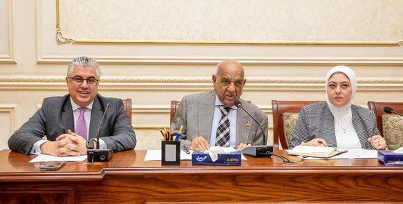 «طاقة الشيوخ» تناقش مستجدات ملف الوقود الأخضر في اقتصادية قناة السويس