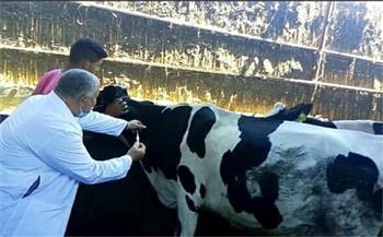 «بيطري الدقهلية»: تحصين 165 ألفا و420 رأس ماشية ضد الأمراض الوبائية