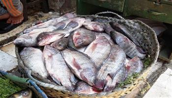 أسعار الأسماك اليوم الأربعاء 29 مارس في سوق العبور