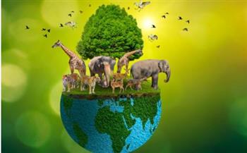 في اليوم العالمي للحياة البرية.. الأمم المتحدة: مليون نوع مهدد بالانقراض