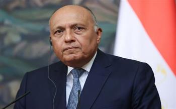 وزير الخارجية: مصر مستمرة في مساعيها لحل الصراع الفلسطيني الإسرائيلي