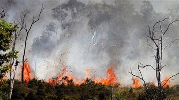 تايلاند تأمر باتخاذ إجراءات عاجلة لمكافحة حرائق الغابات الجبلية