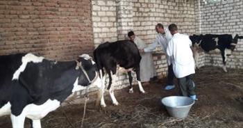 "بيطري الغربية" تحصين 101 ألف من الماشية ضد الأمراض الوبائية