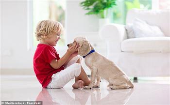دراسة: امتلاك حيوان أليف يقلل من خطر الإصابة بحساسية الطعام لدى الأطفال