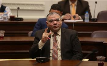 النائب سيد حجازي يدين التدخل السافر من البرلمان البلجيكي في الشأن المصري 