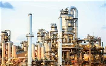 وكالة «فيتش» تتوقع قيادة مصر النمو في إفريقيا بقطاع البتروكيماويات على المدى المتوسط