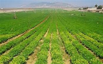 محافظ الإسكندرية الأسبق: المشروع القومي للإنتاج الزراعي يهدف لتعويض الفاقد في الأراضي
