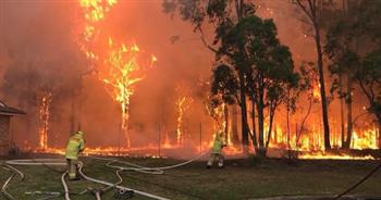 تحذيرات في أستراليا من تزايد حرائق الغابات مع موجة الحر التي تهيمن على سيدني