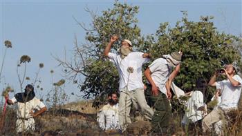 مستوطنون إسرائيليون يعتدون على مسن فلسطيني في نابلس