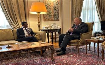 وزير الخارجية يعقد جلسة مباحثات مع نظيره الكيني