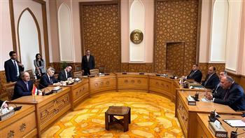 جلسة مباحثات مصرية - سورية برئاسة وزيري الخارجية