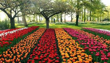 تحت شعار 100 مليون شجرة.. انطلاق معرض زهور الربيع 13 مايو بالمتحف الزراعي