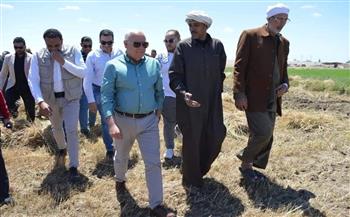 محافظ بورسعيد :  15 أبريل بدء موسم حصاد القمح