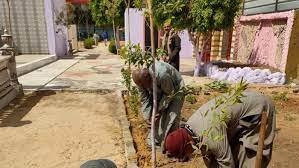 محافظ أسيوط يعلن استمرار أعمال التشجير بالمراكز والقرى ضمن مبادرة «100 مليون شجرة»
