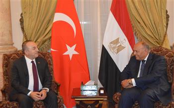 مباحثات مصرية تركية موسعة برئاسة وزيري الخارجية